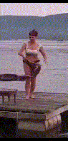 GIF 1